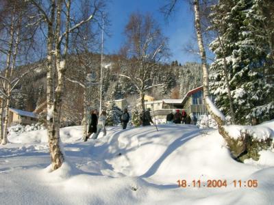 Opp sygnabakken